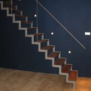 Trapleuning RVS trapleuning modern